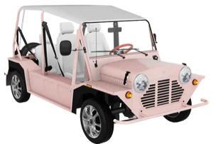 Location Kate E-Moke Électrique Bora Bora — Avis Bora Bora