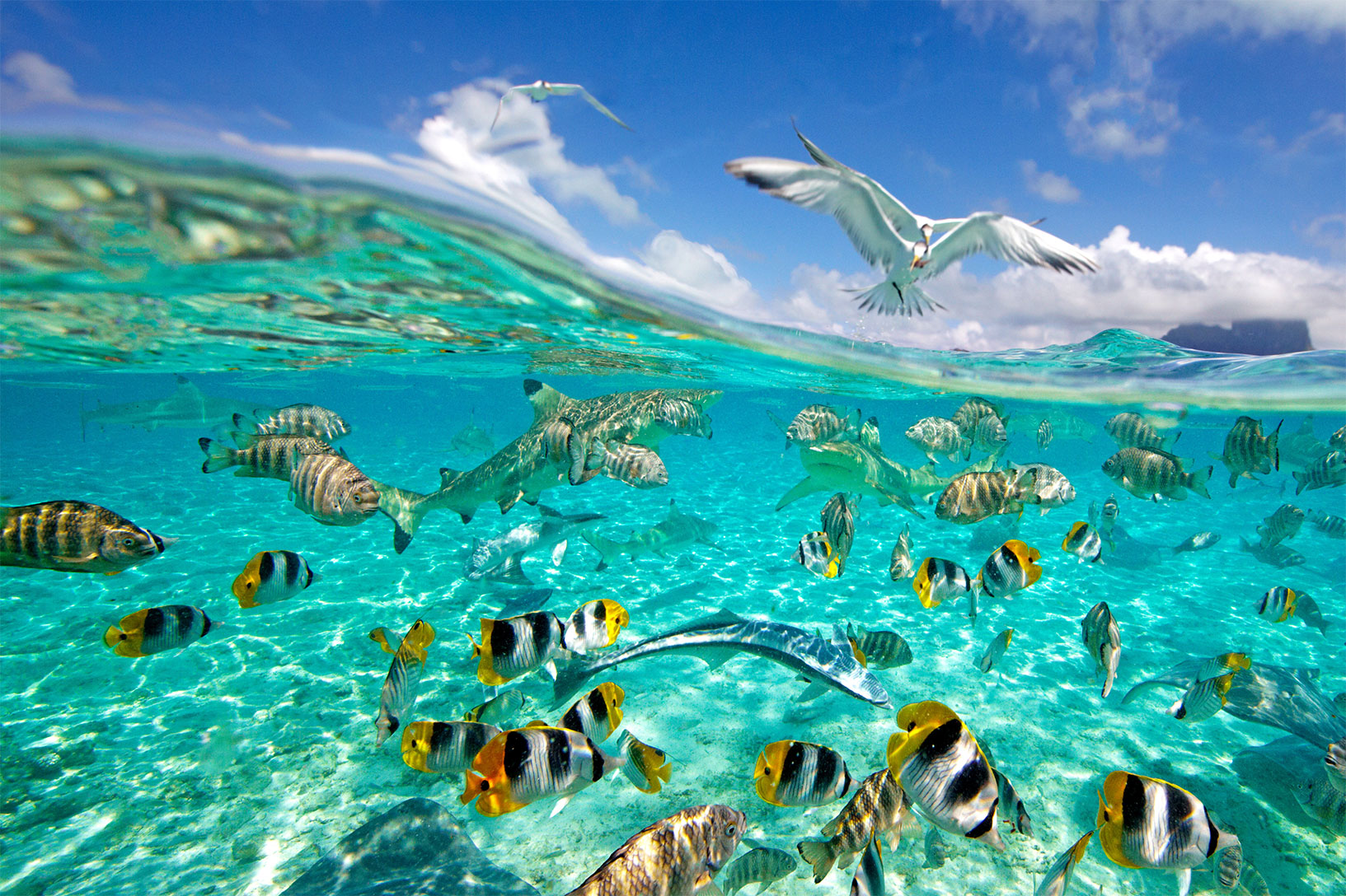 Bora Bora lagons